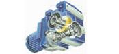 MOTOX-N gear variable speed motor
