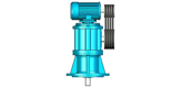 CWS type circular cylindrical worm reducer