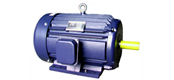 NEMA-HE series standard asynchronous motor (143 ~ 505T frame)