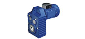 WF series parallel shaft helical gear reducer motor