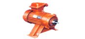 Flameproof three-phase asynchronous motor for YBJ series winch