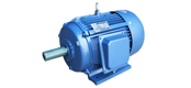YDT series dedicated fan pump variable pole multi speed asynchronous motor (H80 ~ 315mm)