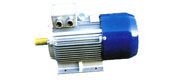 YEJ2 series three phase asynchronous motor (H80 ~ 160mm)