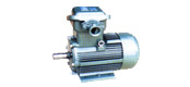 YFB series for dust explosion-proof three-phase asynchronous motor