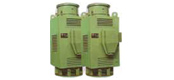 YL series vertical three-phase induction motor (6KV)