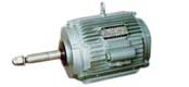 YLZ series three-phase asynchronous motor for cooling tower