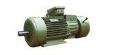 YEZ series conical rotor three-phase asynchronous motor (112 ~ 180mm)